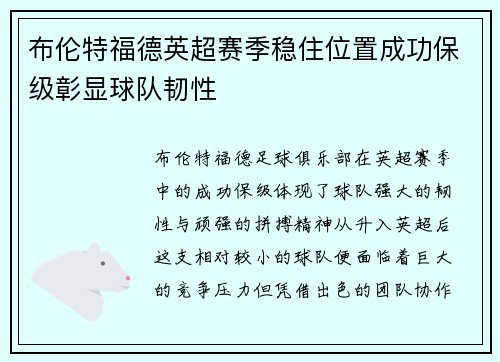 布伦特福德英超赛季稳住位置成功保级彰显球队韧性